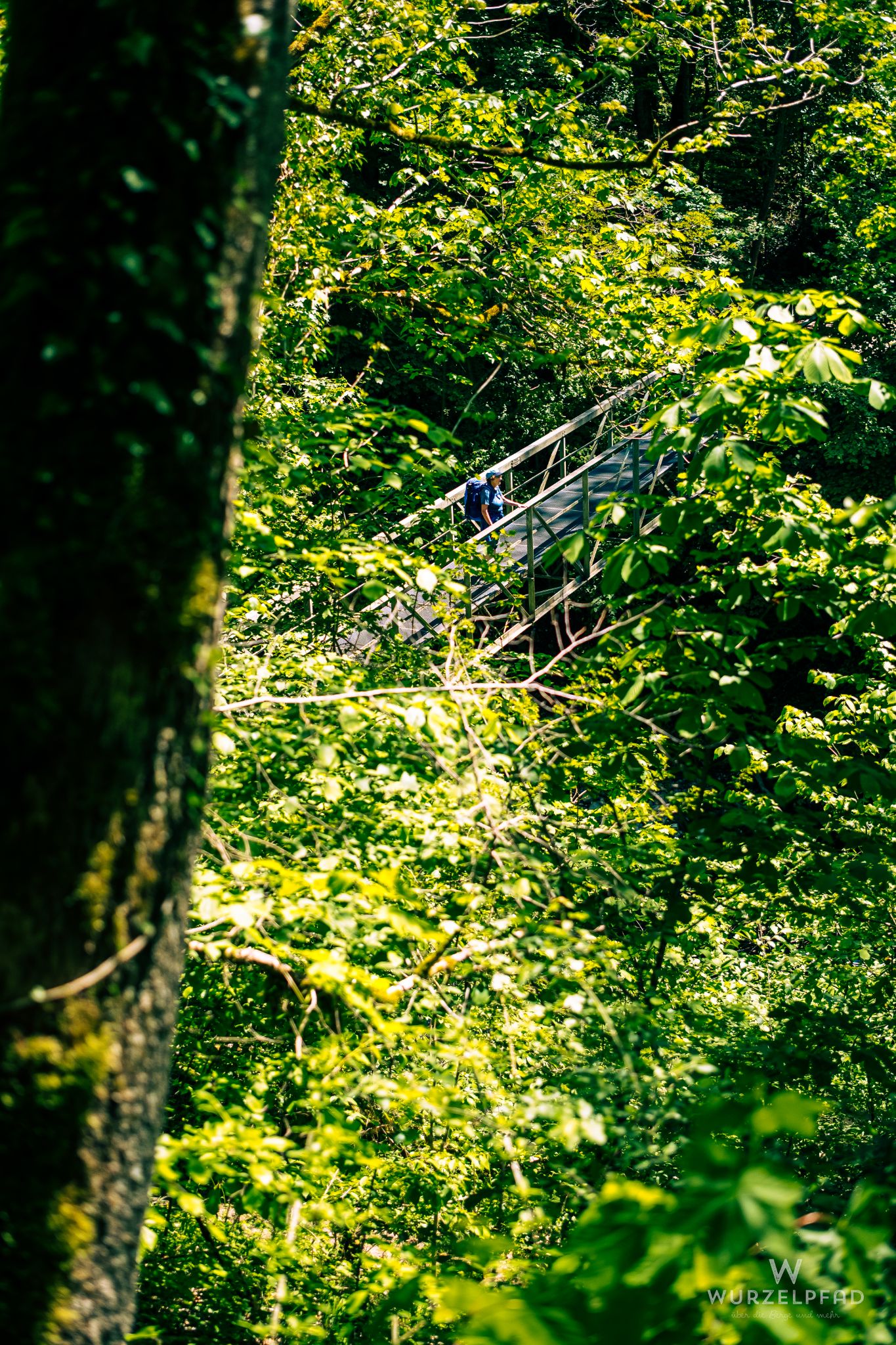 Viel Grün und eine Brücke